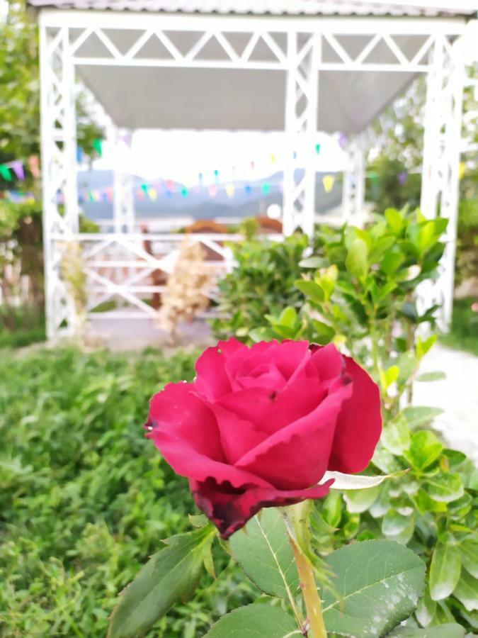 Bliss Inn Boutique Hotel กาบาลา ภายนอก รูปภาพ