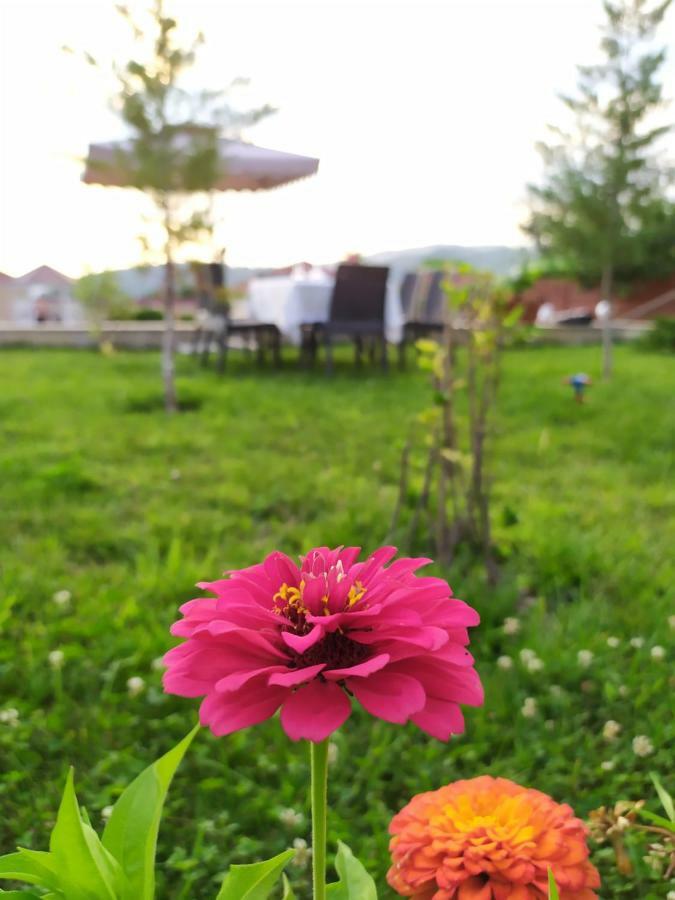 Bliss Inn Boutique Hotel กาบาลา ภายนอก รูปภาพ